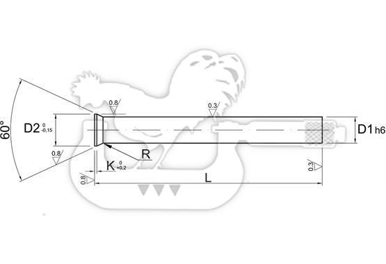 Punzone di Precisione HWS